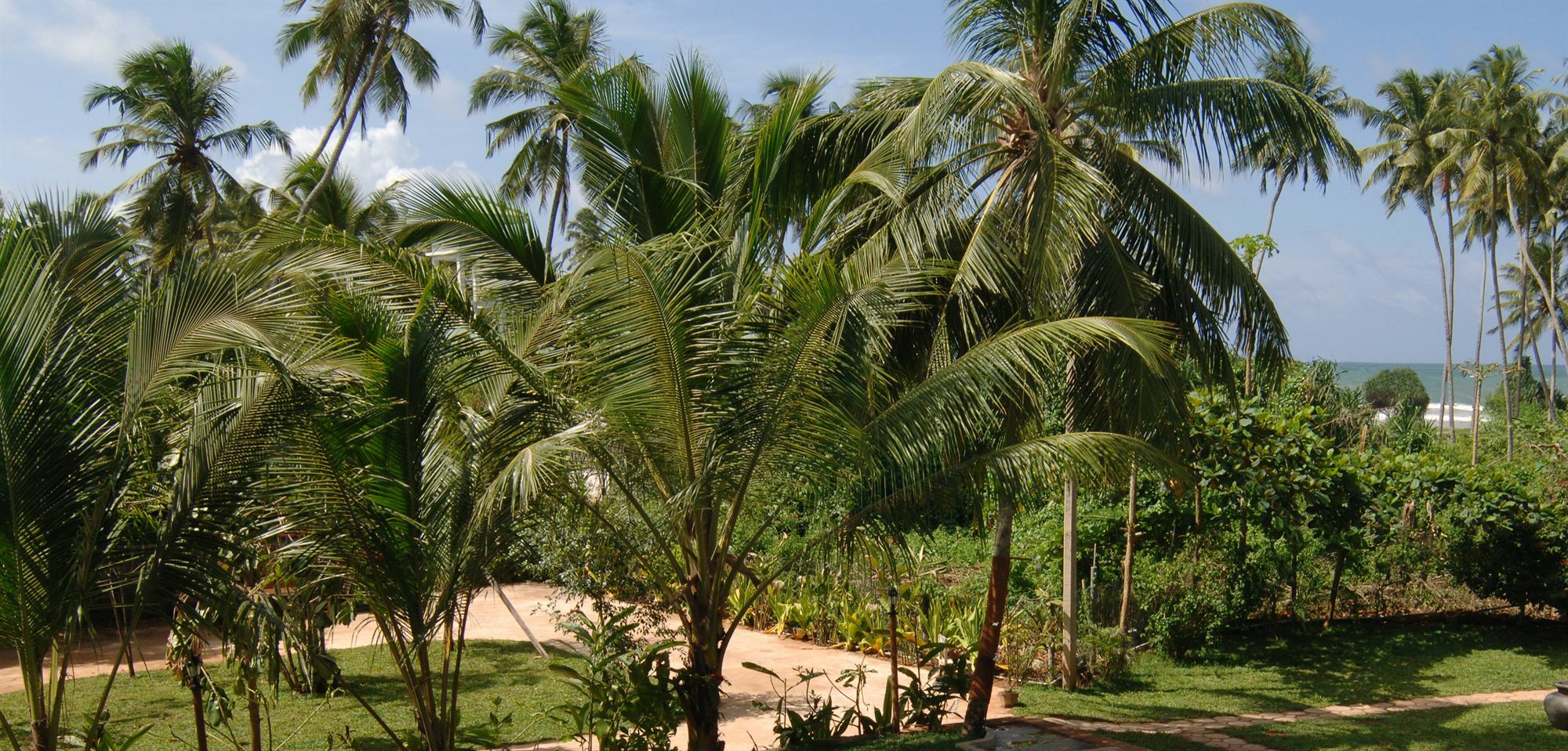 Wunderbar Beach Hotel Bentota Exteriér fotografie